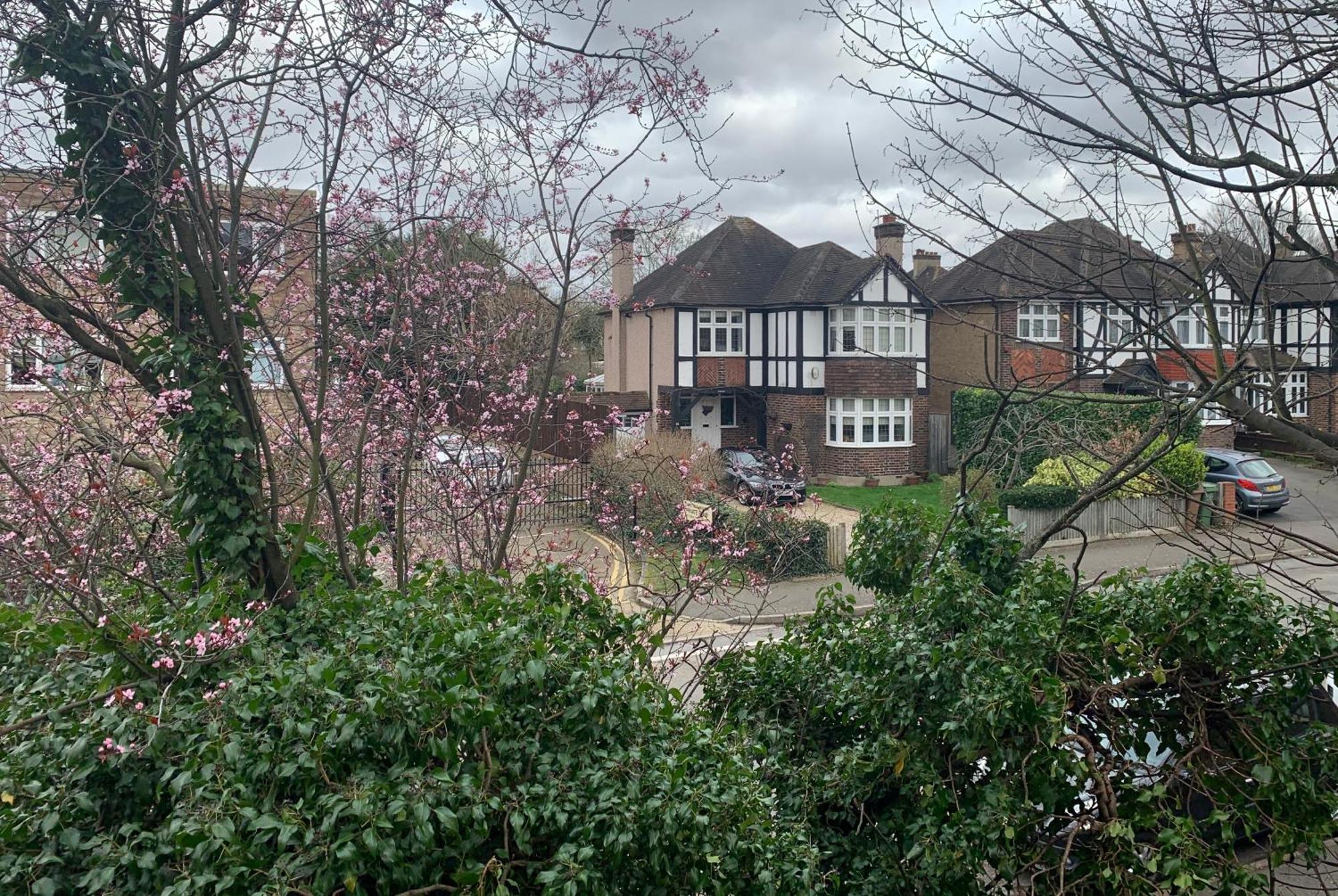 Beddington Park Lodge West والينغتون المظهر الخارجي الصورة